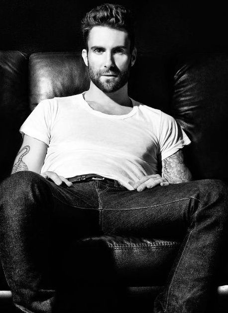 Adam Levine Favorite Color Food Animal Music Bands Sports Biography