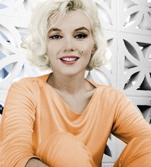 Marilyn Monroe Favorite Color Flower Hobbies Food Music Drink Books ...