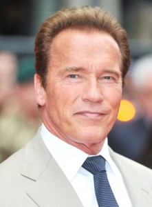 Arnold Schwarzenegger Favorite Food Cigar Music Color Hobbies Biography
