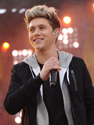 Niall Horan Favorite Color Music Food Drink Perfume Hobbies Bio