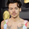 Harry Styles Body Measurements Shoe Size Height Weight Statistics
