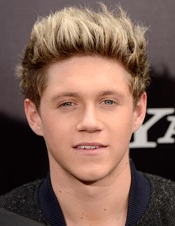 Niall Horan Body Measurements Height Weight Shoe Size Stats Pictures