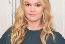 Actress Julia Stiles face