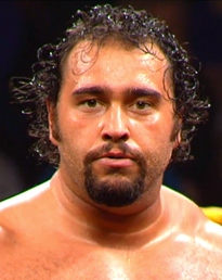 Alexander Rusev Body Measurements Height Weight Shoe Biceps Size Vital Stats