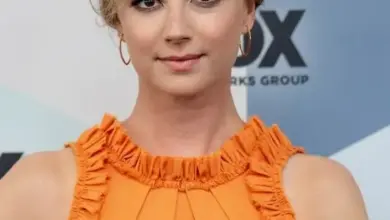 Emily VanCamp smiling at a red carpet premiere