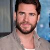 Liam Hemsworth Body Measurements Weight Height Shoe Size Biceps Statistics