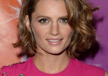 Stana Katic Measurements Height Weight Bra Size Age Body Facts Family Wiki