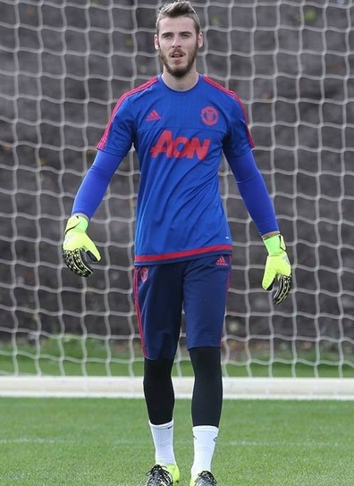 David de Gea Height Weight Stats