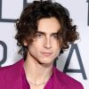 Timothee Chalamet Height Weight Shoe Size Measurements Facts