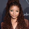 Halle Bailey Height Weight Shoe Size Measurements Facts Family Bio