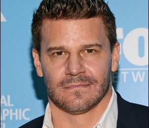 David Boreanaz Height Weight Shoe Size Measurements Facts Family Bio