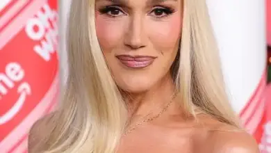 Gwen Stefani Face