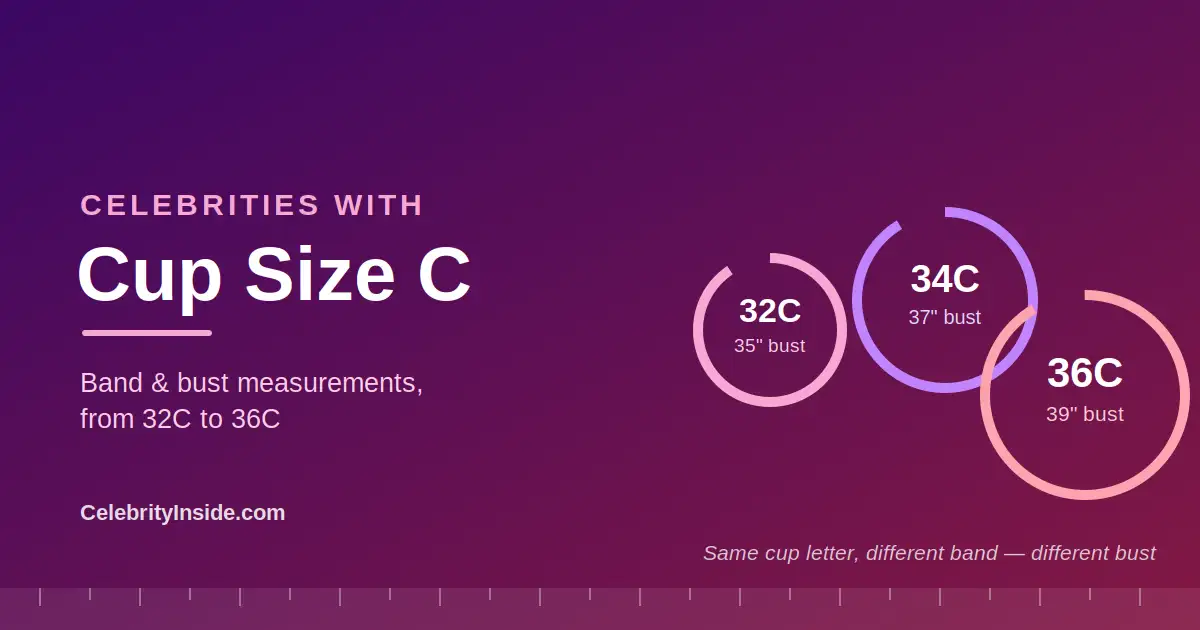 Chart showing celebrity cup size C measurements across band sizes 32C, 34C and 36C